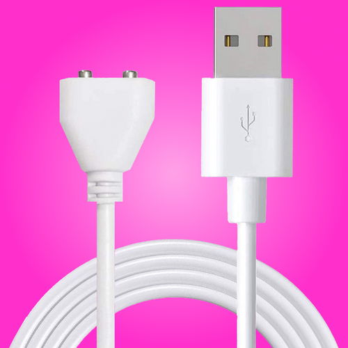 Charger & Remote